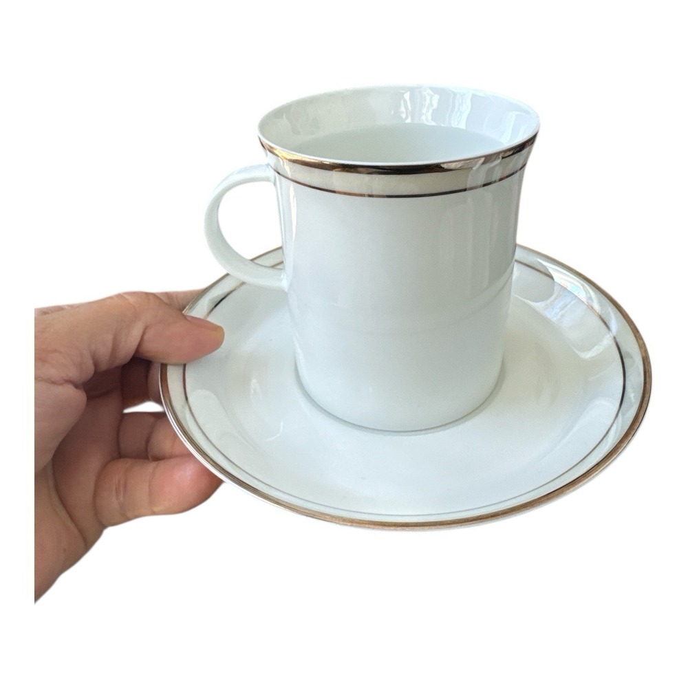 Rosenthal Gala Gray Cup & Saucer Set Vintage White Porcelain Platinum Trim 4042